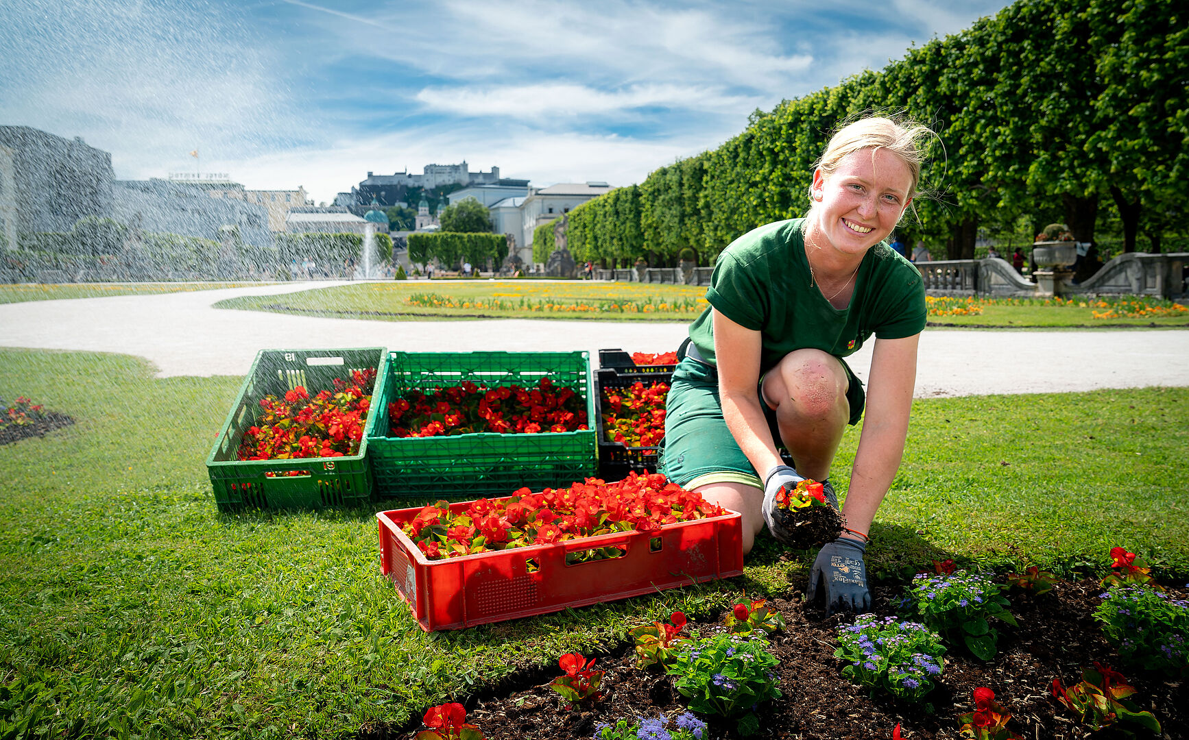 Der Mirabellgarten wird verschönert: