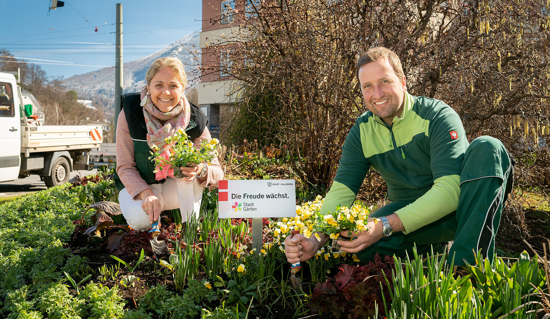 Blumenpracht am Rudolfsplatz