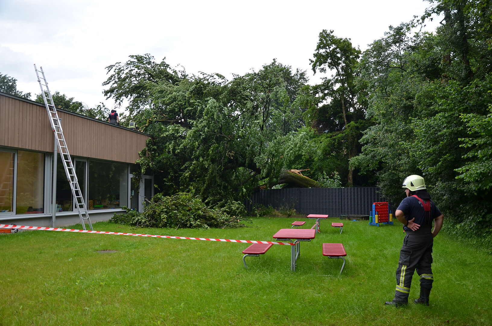 Baum stürzt auf VS Parsch