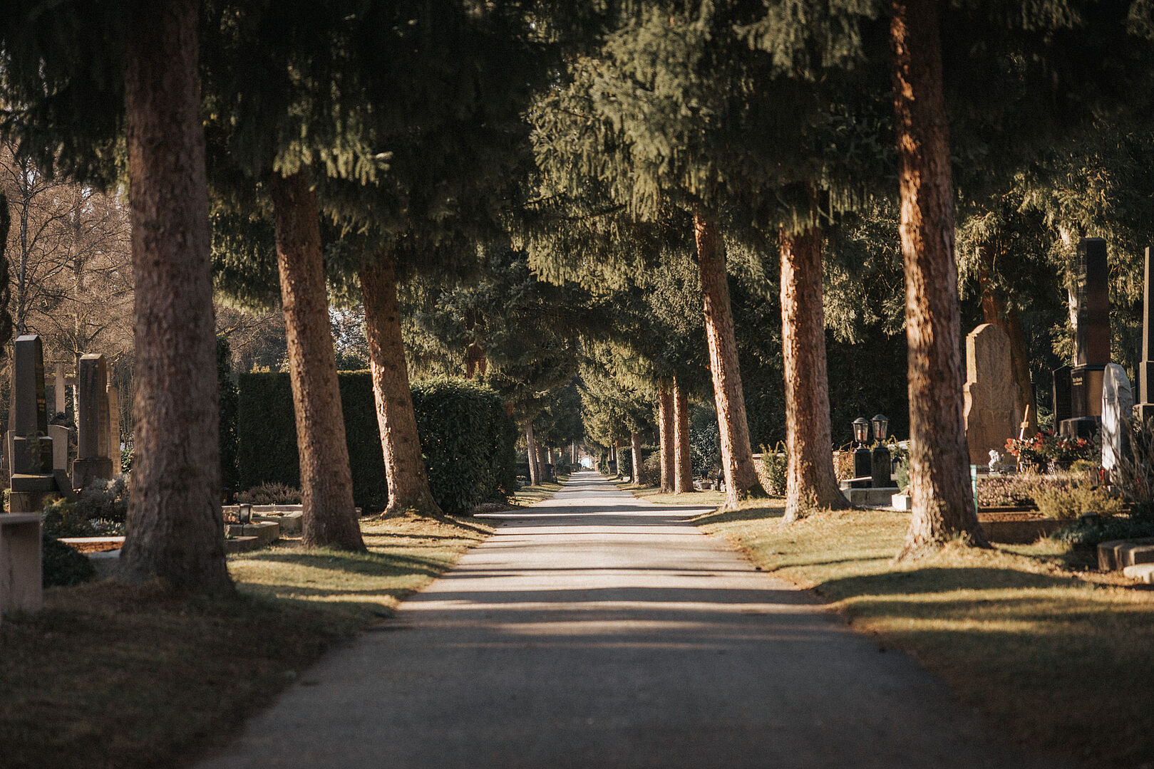 Sonderöffnungszeiten und Gedenkfeiern zu Allerheiligen