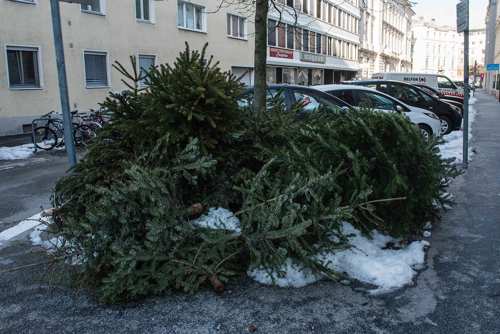 Die alten Christbäume bitte rechtzeitig und ohne Behang bereitstellen!