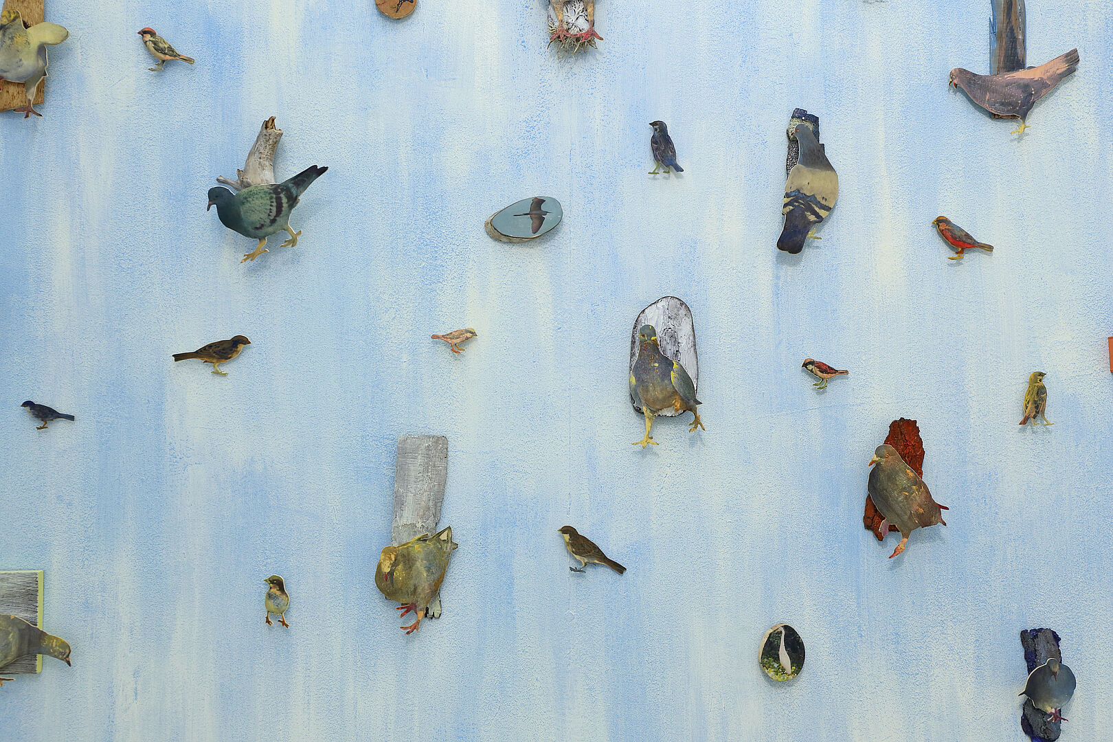 "Vogelwand", Ausstellungsansicht "Monika Pichler. Taubenträume".
