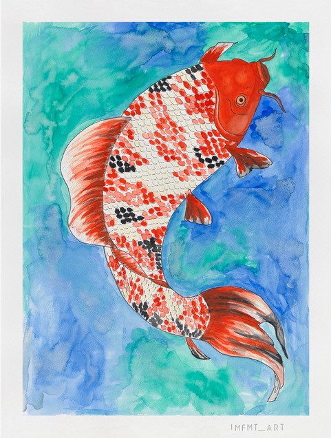 Koi