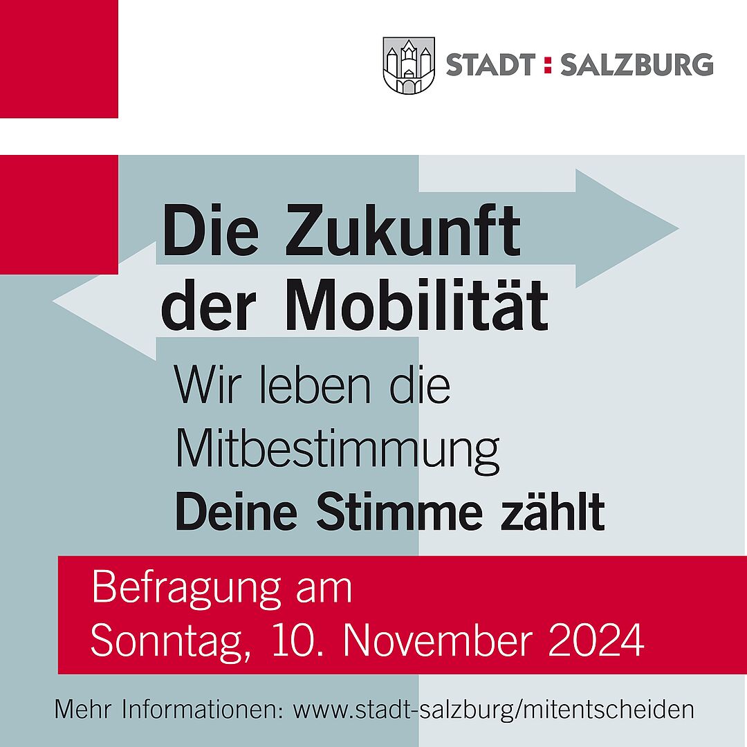 Am 10. November 2024 findet die Volksbefragung zum S-LINK satt.