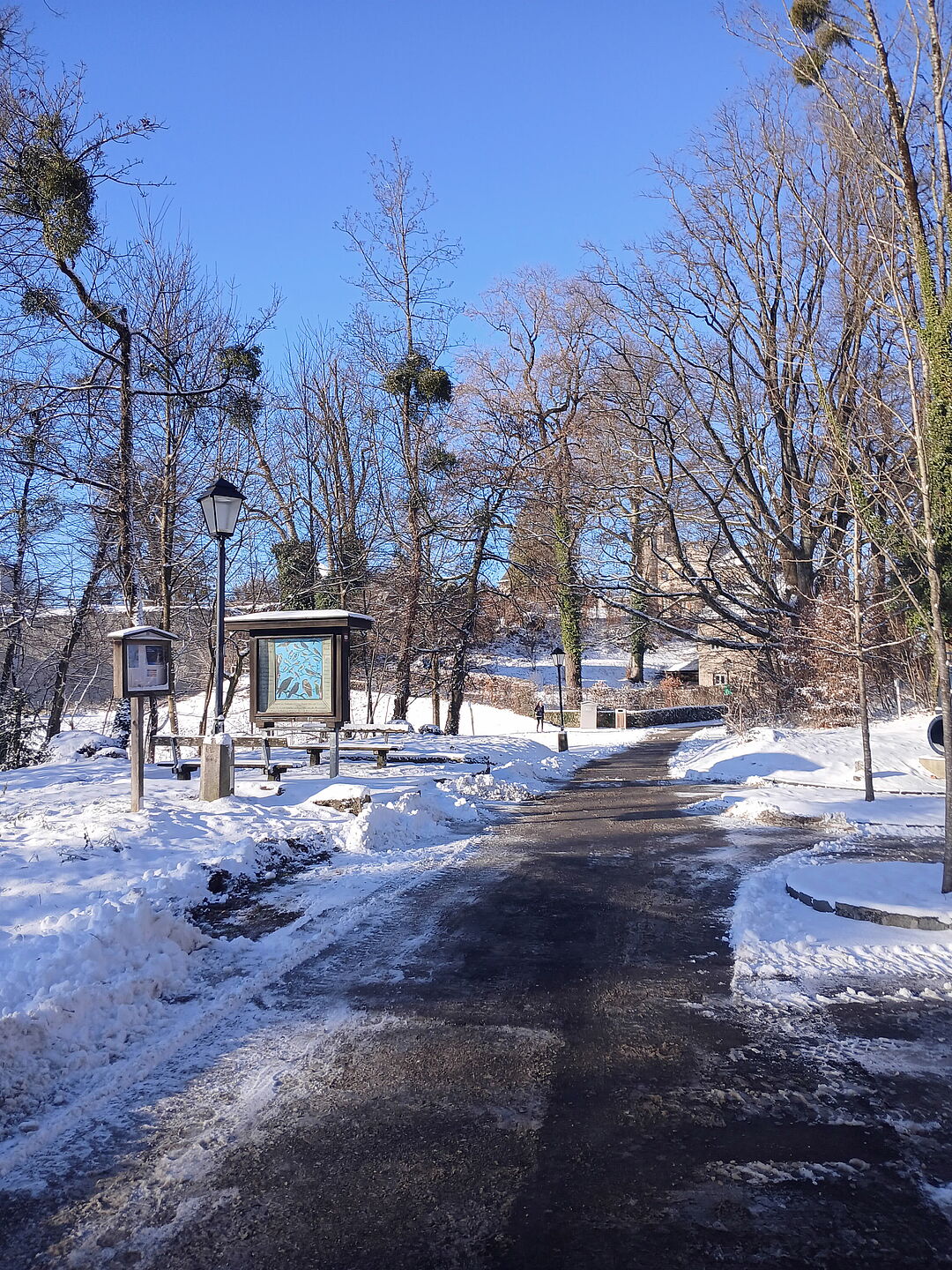 Gut geräumte Wege laden auch im Winter dazu ein, zu Fuß zu gehen.